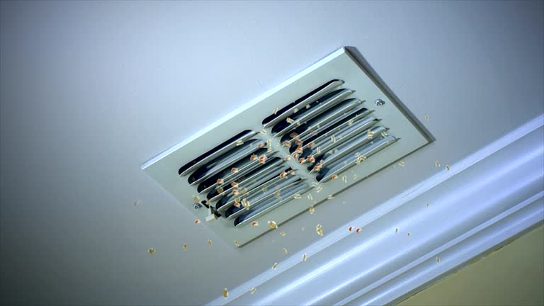 Home Air Vent Cleaning in Eagle, NE