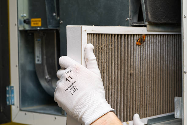 Best Local Air Duct Cleaning Services  in Eagle, NE
