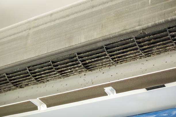 Best Duct Cleaning for Offices  in Eagle, NE