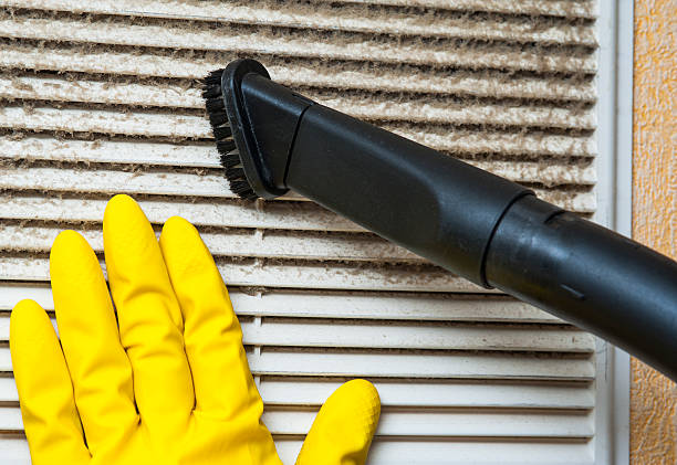 Best Professional Duct Cleaning Services  in Eagle, NE